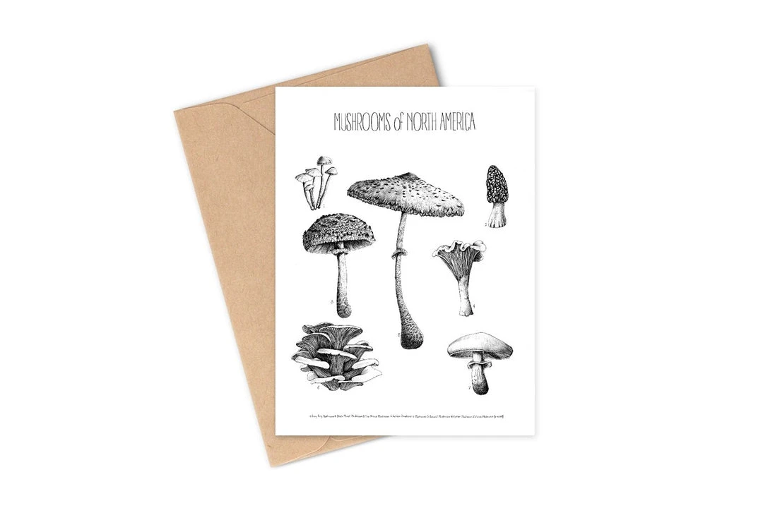 Greeting Cards By Brittany Finch Gift Ideas 1 Greeting Cards By Brittany Finch Gift Ideas