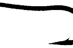 Daiichi 1220 - Darrel Martin's Dry Fly Hook, Bronze Finish