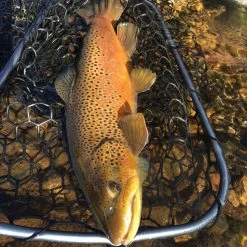 Nets Rising - Lunker Net | 24" Handle 11 Nets Rising - Lunker Net | 24