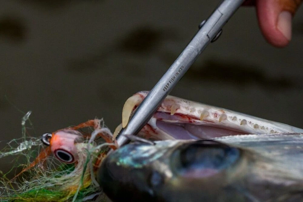 Rising Bobs - Bobs Tactical Scissors | Forceps W/ Scissors Forceps & Clamps 5 Rising Bobs - Bobs Tactical Scissors | Forceps W/ Scissors Forceps & Clamps