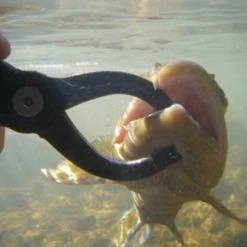 Rising - Special Blend Lippa4Life 6 Rising - Special Blend Lippa4Life