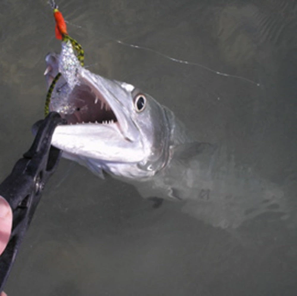 Rising - Special Blend Lippa4Life 4 Rising - Special Blend Lippa4Life