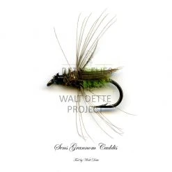Dette Flies Walt Dette Project