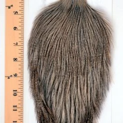 Tailing Whiting Farms - Coq De Leon Rooster Capes