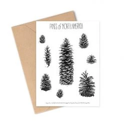 Greeting Cards By Brittany Finch Gift Ideas 7 Greeting Cards By Brittany Finch Gift Ideas