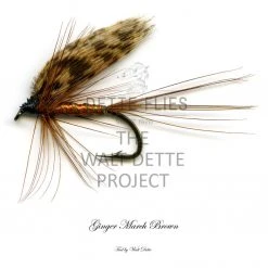 Dette Flies Walt Dette Project