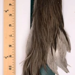 Dry Fly Capes Metz 1/2 Cock Neck