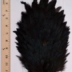 Sideling Hill Hen Saddles