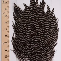 Sideling Hill Hen Saddles