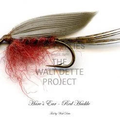 Dette Flies Walt Dette Project