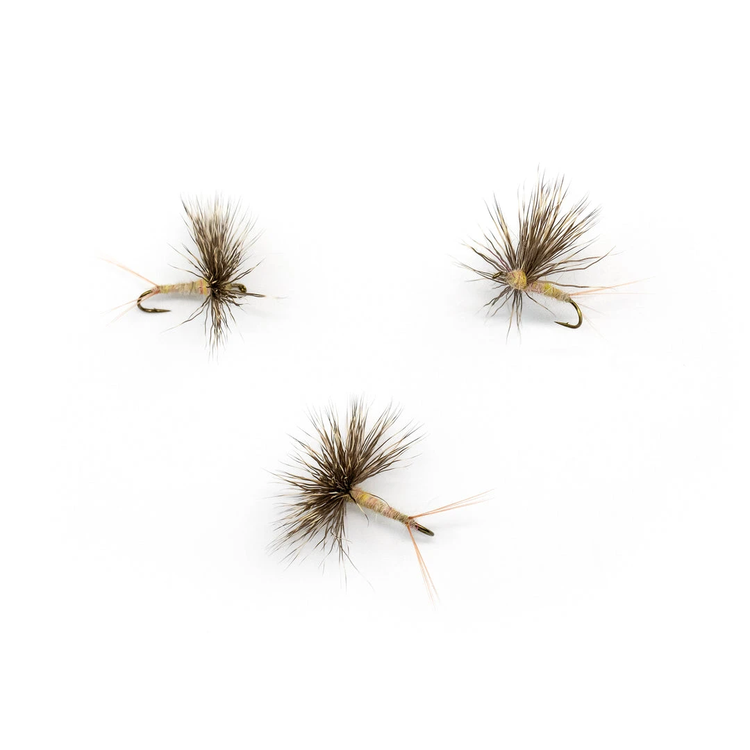 Dette Flies March Brown Comparadun Comparaduns & Sparkle Duns 1 Dette Flies March Brown Comparadun Comparaduns & Sparkle Duns