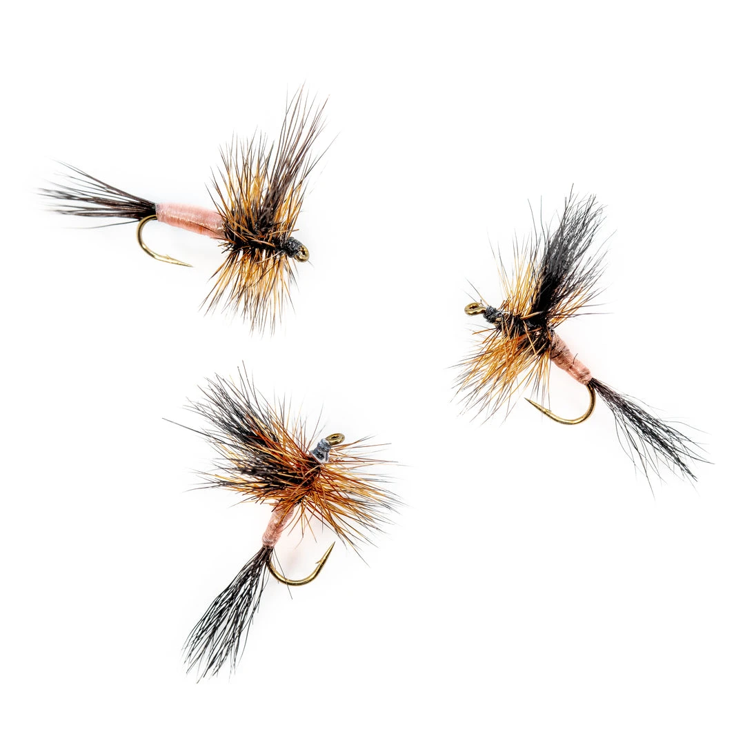 Dette Flies Traditional Dries Black Wulff 1 Dette Flies Traditional Dries Black Wulff