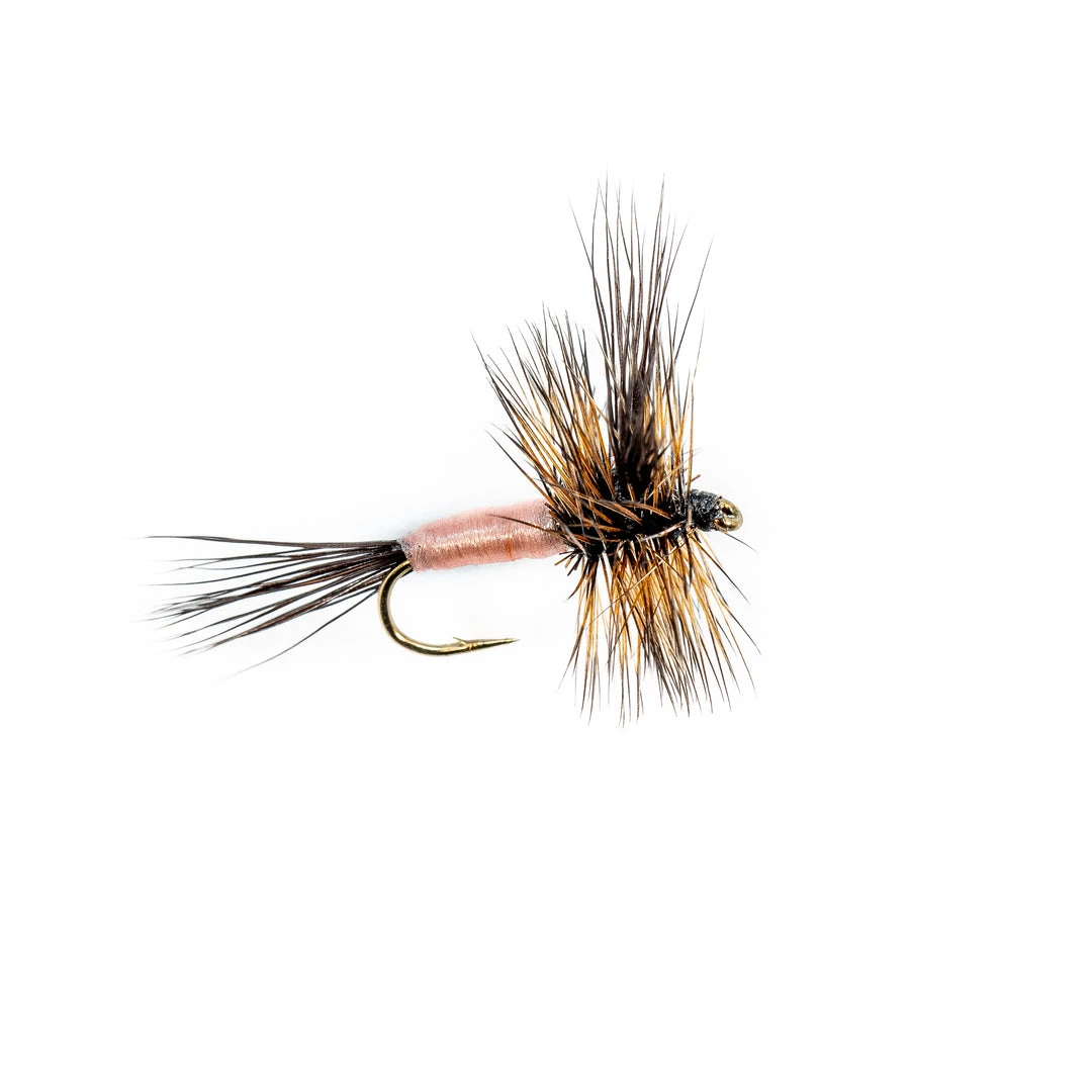 Dette Flies Traditional Dries Black Wulff 2 Dette Flies Traditional Dries Black Wulff