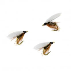Dette Flies Coachman Wet Winged Wets