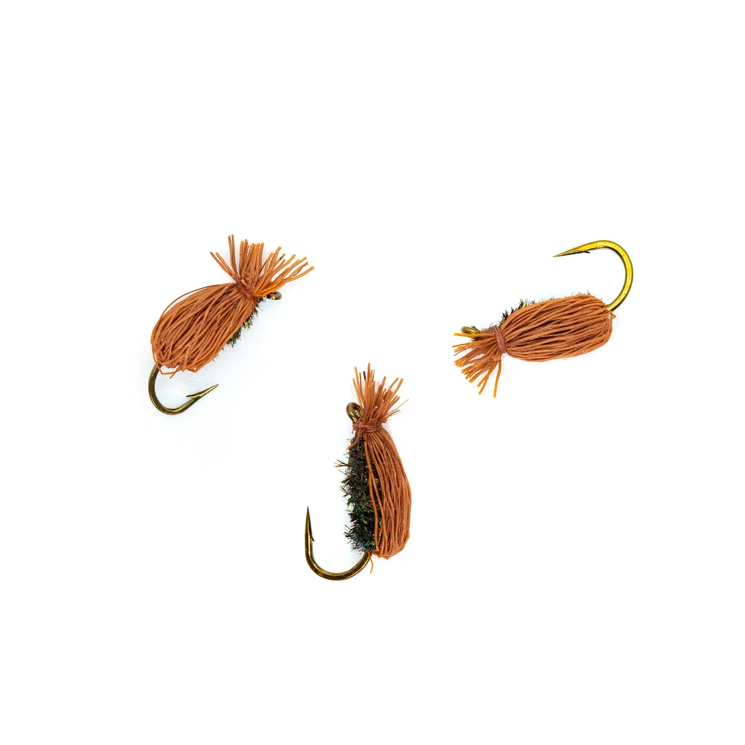 Dette Flies Dette Beetle - Cinnamon 1 Dette Flies Dette Beetle - Cinnamon