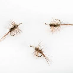 Dette Flies Katterman Traditional Dries