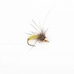 Dette Flies Nymphs MH's Caddis Pupa Yellow/Orange