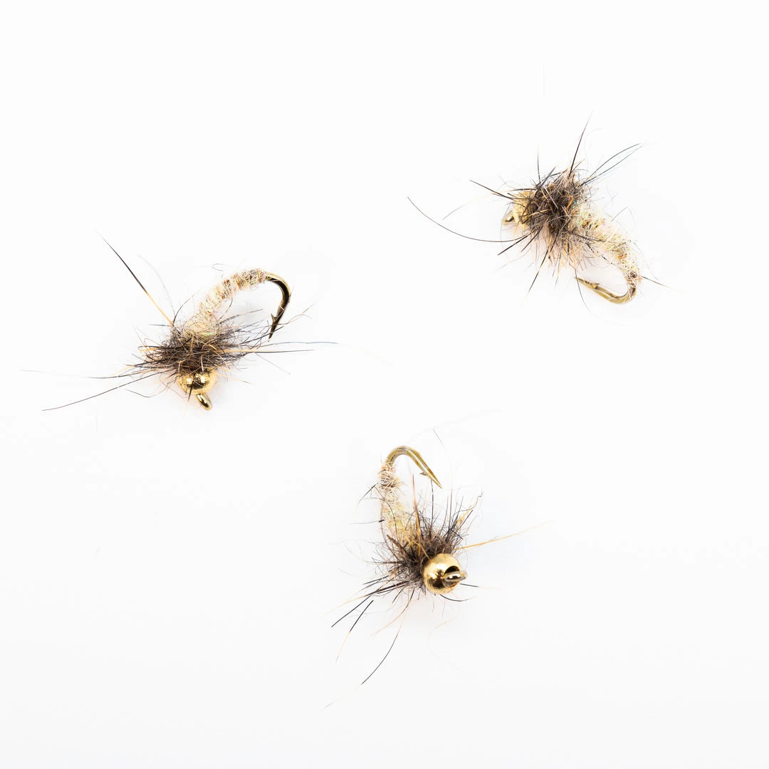 Dette Flies Nymphs MH's Cream Caddis Pupa 1 Dette Flies Nymphs MH's Cream Caddis Pupa
