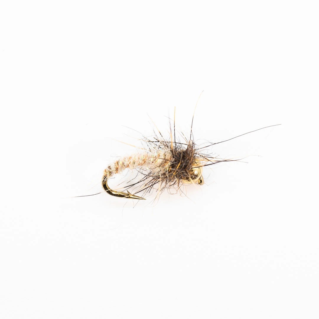 Dette Flies Nymphs MH's Cream Caddis Pupa 2 Dette Flies Nymphs MH's Cream Caddis Pupa