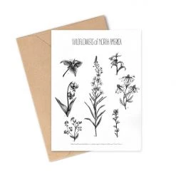 Greeting Cards By Brittany Finch Gift Ideas 8 Greeting Cards By Brittany Finch Gift Ideas