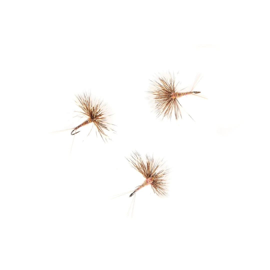 Dette Flies Isonychia Comparadun 1 Dette Flies Isonychia Comparadun