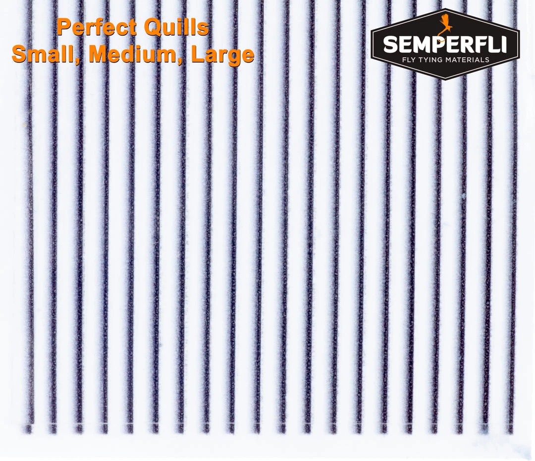 Quills & Biots Semperfli Perfect Quill 3 Quills & Biots Semperfli Perfect Quill