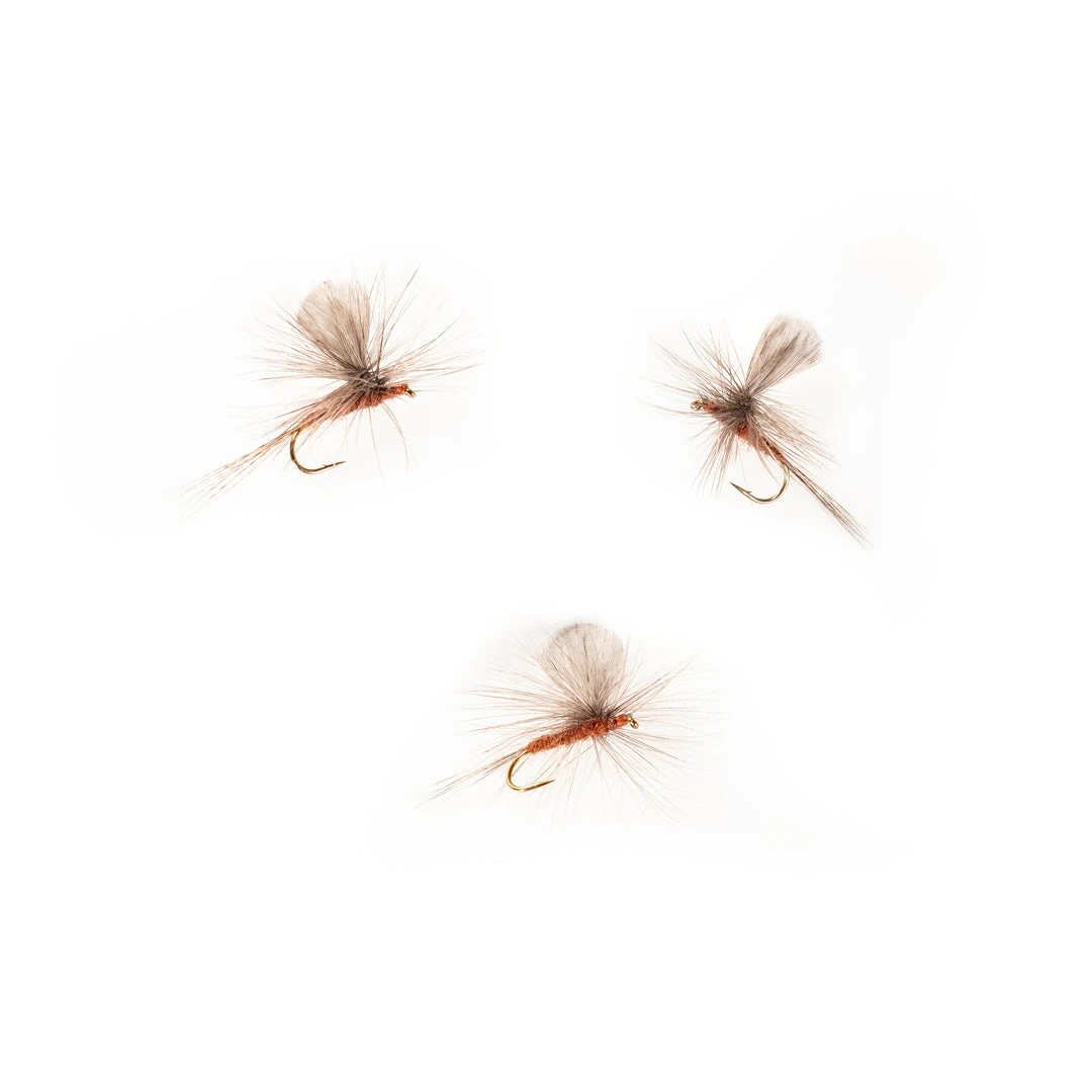 Dette Flies Red Quill Sailwing Parachute Parachutes 2 Dette Flies Red Quill Sailwing Parachute Parachutes