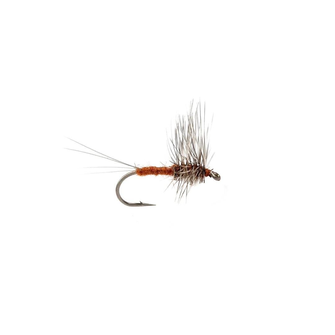 Dette Flies Spinners Rusty Hackle Spinner 1 Dette Flies Spinners Rusty Hackle Spinner