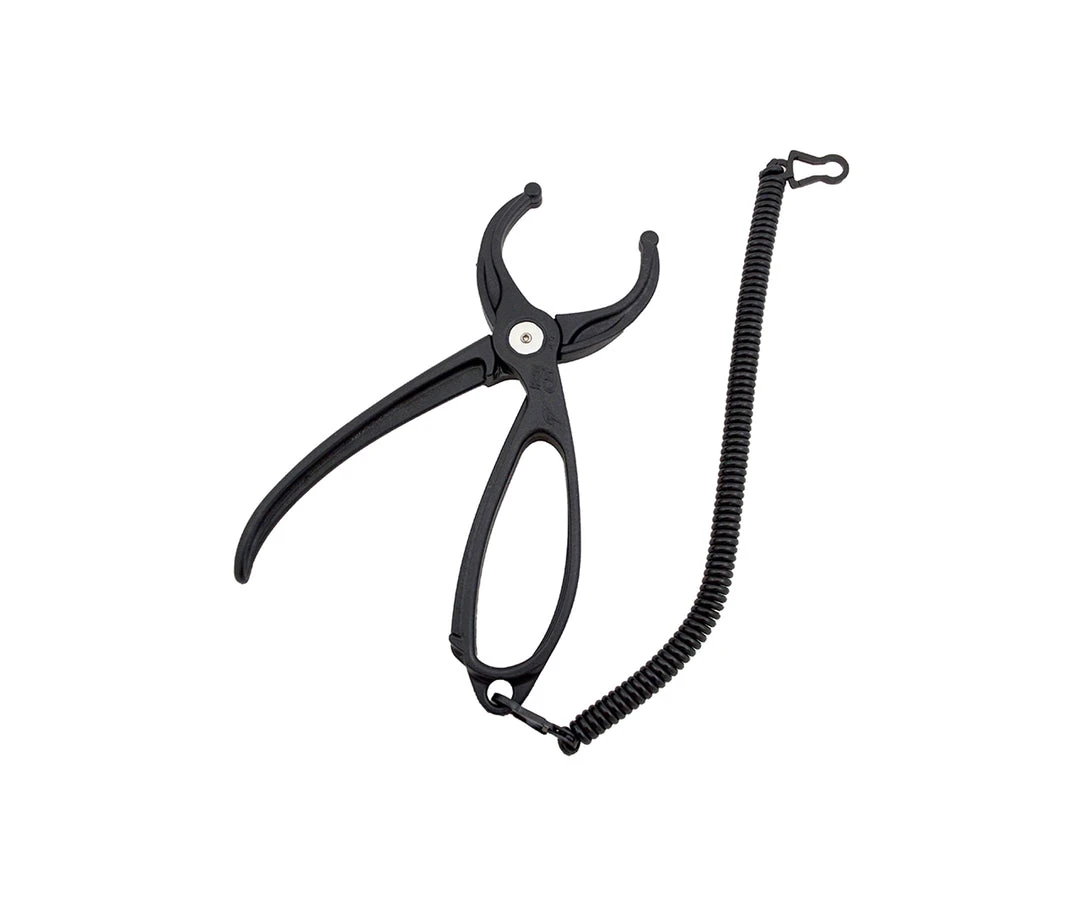 Rising - Special Blend Lippa4Life 2 Rising - Special Blend Lippa4Life