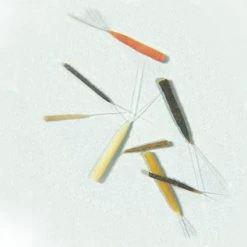 25% Off - X-FLIES Tube Bodiz