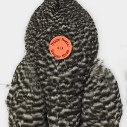 Whiting Farms - 4B's Hen Capes