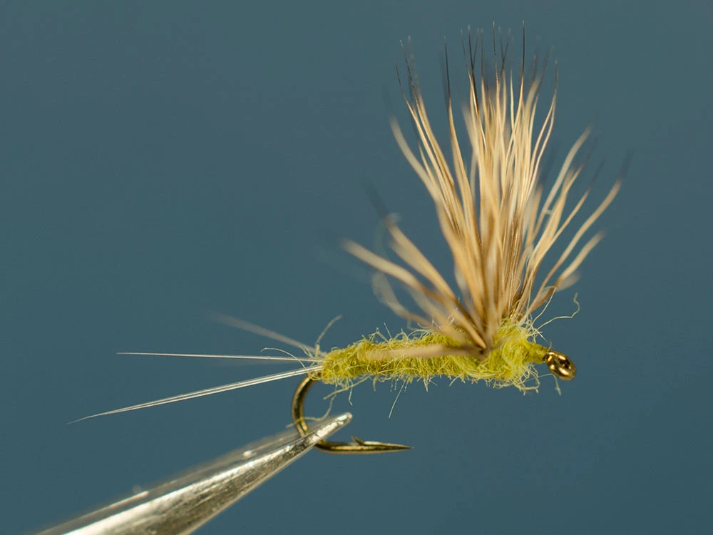 Dette Flies Comparaduns & Sparkle Duns BWO Comparadun 3 Dette Flies Comparaduns & Sparkle Duns BWO Comparadun