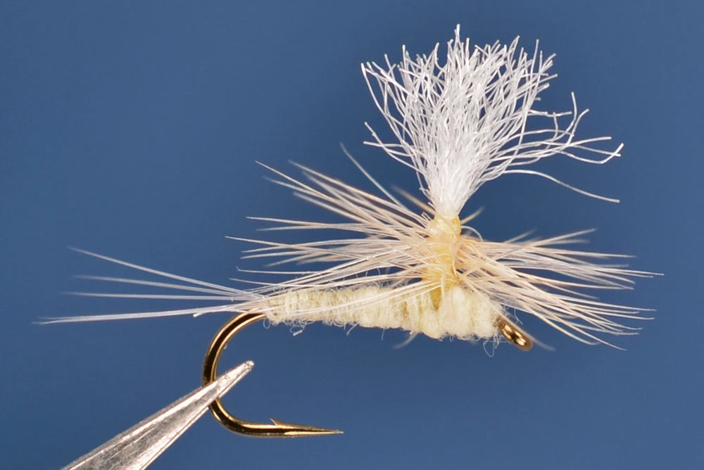 Dette Flies Cahill Parachute Parachutes 1 Dette Flies Cahill Parachute Parachutes