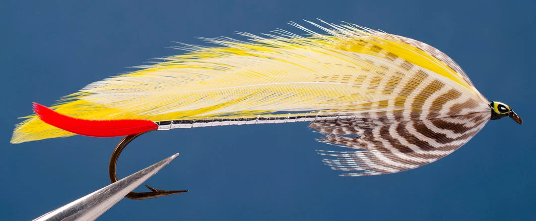 Dette Flies Colonel Bates 8XL 3 Dette Flies Colonel Bates 8XL