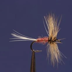 Dette Flies Conover Traditional Dries