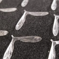 25% Off - Reel Wings - Daddy Wings