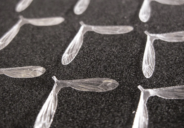 25% Off - Reel Wings - Daddy Wings 1 25% Off - Reel Wings - Daddy Wings