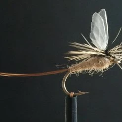 25% Off - Reel Wings - Dun Wings Winging