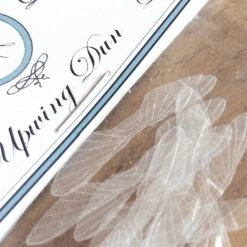 25% Off - Reel Wings - Dun Wings Winging