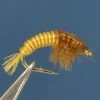 Dette Flies Nymphs Electric Caddis - Chimarra