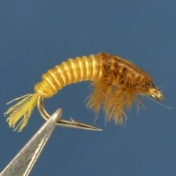Dette Flies Nymphs Electric Caddis - Chimarra