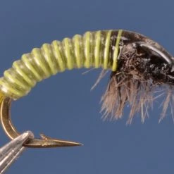Dette Flies Electric Caddis - Golden Olive And Gray Nymphs