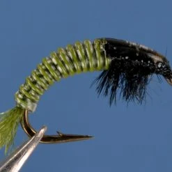 Dette Flies Nymphs Electric Caddis - Olive And Black