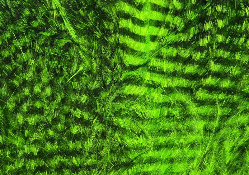 Fine Black Barred Marabou Feathers By Spirit River 2 Fine Black Barred Marabou Feathers By Spirit River