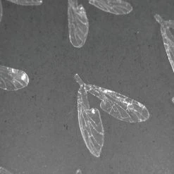 Winging 25% Off - Reel Wings - Flat Wings