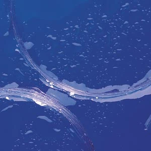 Royal Wulff Seawulff Fluorocarbon Leader 1 Royal Wulff Seawulff Fluorocarbon Leader