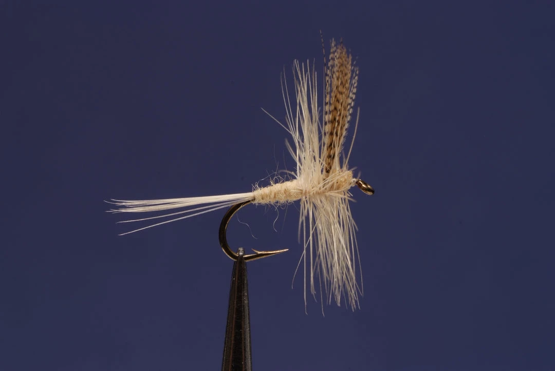 Dette Flies Traditional Dries Light Cahill Traditional 1 Dette Flies Traditional Dries Light Cahill Traditional