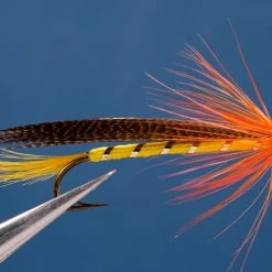 Dette Flies Golden Demon