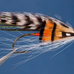 Dette Flies Golden Witch