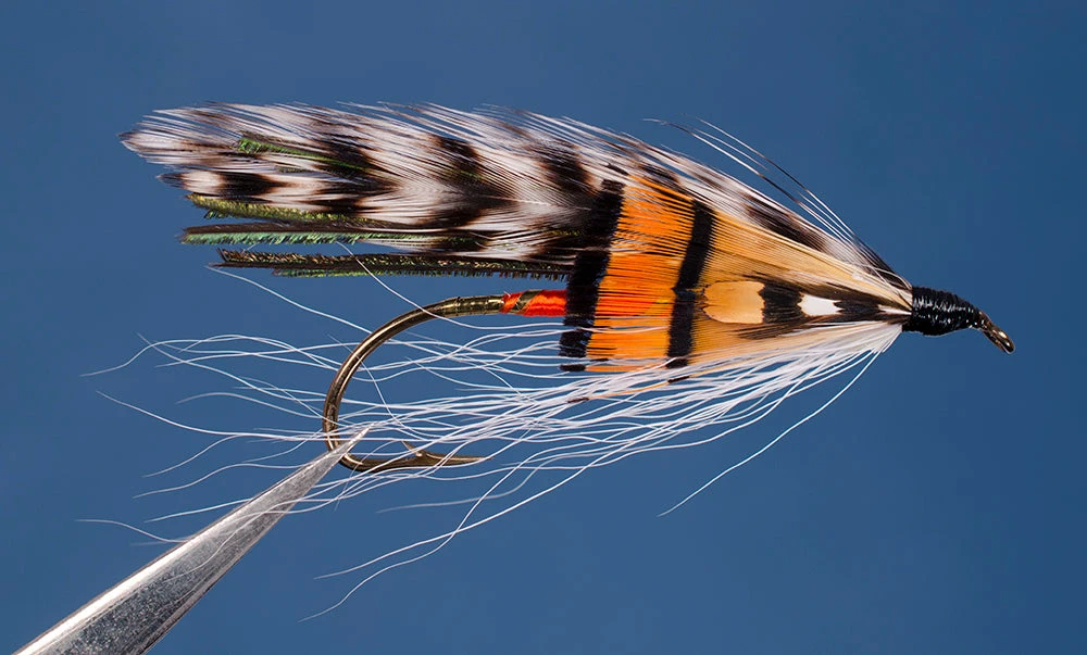 Dette Flies Golden Witch 1 Dette Flies Golden Witch